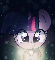 Size: 841x914 | Tagged: source needed, safe, artist:silver meadow, imported from derpibooru, twilight sparkle, firefly (insect), insect, pony, female, solo