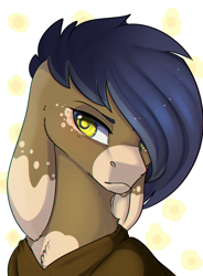 Size: 1396x1900 | Tagged: safe, artist:highrolleryt, imported from derpibooru, oc, oc only, donkey, bust, clothes, donkey oc, floppy ears, hair over one eye, polka dot background