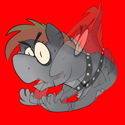 Size: 2000x2000 | Tagged: safe, artist:highrolleryt, imported from derpibooru, oc, oc only, oc:zorah, cat, cat pony, original species, pony, choker, red background, simple background, solo, spiked choker