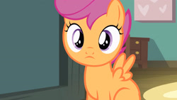 Size: 3410x1920 | Tagged: safe, imported from derpibooru, screencap, scootaloo, pegasus, pony, flight to the finish, season 4, cute, cutealoo, female, filly, foal, high res, solo, spread wings, wings