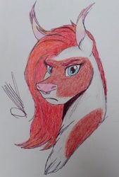 Size: 691x1024 | Tagged: safe, artist:discbreaker100, imported from derpibooru, oc, oc only, oc:gisarme peculiar, bat pony, bust, commission, female, mare, portrait, skewbald, solo, traditional art