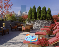 Size: 1280x1024 | Tagged: safe, artist:mlplover94, imported from derpibooru, rainbow dash, pegasus, pony, boston, chair, eyes closed, female, irl, mare, massachusetts, open mouth, photo, ponies in real life, rooftop, sleeping, sleepydash