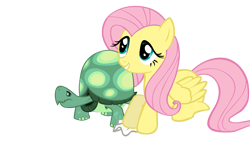 Size: 3000x1688 | Tagged: safe, artist:totalcrazyness101, imported from derpibooru, fluttershy, tank, pegasus, pony, tortoise, female, mare, simple background, transparent background, vector