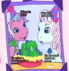 Size: 687x714 | Tagged: safe, imported from ponybooru, screencap, minty, sweetberry, earth pony, a charming birthday, blueberry, broccoli, cropped, dialogue, food, g3, hat, party hat, photo, pie, text