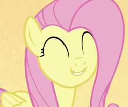 Size: 617x517 | Tagged: safe, imported from derpibooru, screencap, fluttershy, pegasus, pony, all bottled up, season 7, best friends until the end of time, cropped, cute, eyes closed, female, mare, shyabetes, simple background, smiling, solo, yellow background