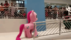 Size: 854x480 | Tagged: safe, imported from derpibooru, pinkie pie, rainbow dash, earth pony, human, pegasus, pony, zebra, animated, clothes, costume, irl, irl human, mascot, philippines, photo, quadsuit, sound, webm