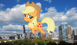Size: 1920x1121 | Tagged: safe, artist:estories, artist:thegiantponyfan, imported from derpibooru, applejack, earth pony, pony, applejack's hat, chicago, cowboy hat, female, freckles, giant pony, giant/macro earth pony, giantess, grin, hat, highrise ponies, illinois, irl, looking at you, macro, mare, mega applejack, mega giant, photo, ponies in real life, smiling, smiling at you, solo, stetson