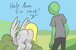 Size: 1637x1080 | Tagged: safe, artist:happy harvey, imported from derpibooru, derpy hooves, oc, oc:anon, human, pegasus, pony, asking for help, away from viewer, bubble butt, bush, butt, buttstuck, dialogue, female, grass, help me, hill, male, mare, phone drawing, plot, presenting, spread wings, stuck, tail, tail aside, wings