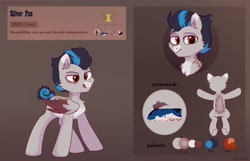 Size: 2800x1800 | Tagged: safe, artist:raily, imported from derpibooru, oc, oc only, pegasus, pony, reference sheet, solo