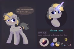 Size: 2364x1578 | Tagged: safe, artist:raily, imported from derpibooru, oc, oc only, pony, unicorn, reference sheet, solo
