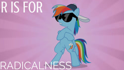 Size: 1280x720 | Tagged: safe, edit, edited screencap, editor:quoterific, imported from derpibooru, screencap, rainbow dash, pegasus, pony, may the best pet win, season 2, 20% cooler, alphabet, bipedal, crossed hooves, deal with it, female, glasses, mare, pink background, reference, simple background, solo