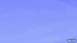 Size: 640x360 | Tagged: safe, imported from derpibooru, screencap, applejack, autumn blaze, earth pony, kirin, pony, season 8, sounds of silence, spoiler:s08, animated, applejack's hat, cloud, cowboy hat, duo, eyes closed, female, gif, gifs.com, hat, lightning, mare, open mouth, open smile, rain, rainbow, running, smiling, thunderstorm