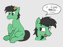 Size: 2732x2048 | Tagged: safe, artist:rawtszy, imported from derpibooru, oc, oc:anon, oc:anon stallion, earth pony, 4chan, anonymous, blatant lies, female, flower, male, mare, stallion