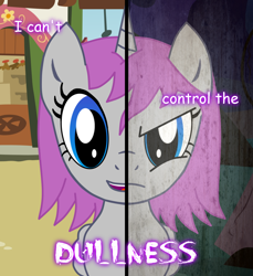 Size: 1100x1200 | Tagged: safe, artist:4narchybrony, imported from derpibooru, oc, oc only, oc:violet rose, alicorn, pony, angry, female, frown, horn, mare, smiling, text, two sided posters, two sides, wings
