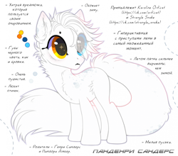 Size: 1920x1693 | Tagged: safe, artist:strangle12, imported from derpibooru, oc, oc only, cat, cat pony, earth pony, original species, pony, base used, cyrillic, ear fluff, earth pony oc, eyelashes, female, heterochromia, looking back, mare, reference sheet, russian, simple background, smiling, solo, starry eyes, translation request, transparent background, white background, wide eyes, wingding eyes