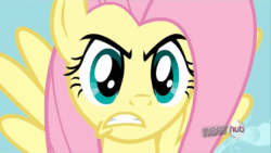 Size: 1920x1080 | Tagged: safe, imported from derpibooru, screencap, fluttershy, pegasus, pony, keep calm and flutter on, season 3, 1080p, angry, animated, badass, blinking, close-up, eye shimmer, female, flutterbadass, gif, gritted teeth, mare, solo, speed lines, stare, teeth, the stare