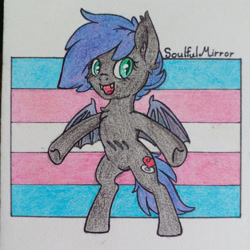 Size: 1280x1280 | Tagged: safe, artist:soulfulmirror, imported from derpibooru, oc, oc only, oc:nebula wings, bat pony, pony, bipedal, chest fluff, pride, pride flag, signature, solo, traditional art, trans female, transgender, transgender pride flag