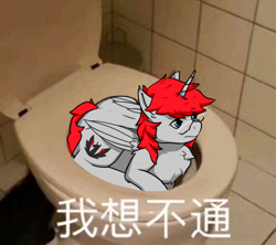 Size: 720x639 | Tagged: safe, artist:tx547, imported from derpibooru, oc, oc:ericken, alicorn, pony, behaving like a cat, but why, chinese, chinese meme, glasses, meme, pun, text, toilet, translated in the description