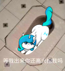 Size: 500x549 | Tagged: safe, artist:tx547, imported from derpibooru, oc, oc:time slowly, pony, unicorn, behaving like a cat, but why, chinese, squatting toilet, toilet, translated in the description