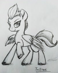 Size: 3120x3882 | Tagged: safe, artist:twiliset, imported from derpibooru, zipp storm, pegasus, pony, spoiler:g5, black and white, confident, cool, g5, grayscale, monochrome, pencil drawing, simple background, smiling, traditional art