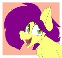 Size: 696x654 | Tagged: safe, artist:kirbirb, imported from derpibooru, oc, oc only, oc:boppity boop, earth pony, pony, solo