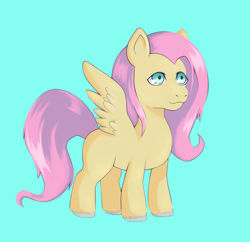 Size: 1800x1741 | Tagged: safe, artist:raincathode, imported from derpibooru, fluttershy, pegasus, pony, blue background, female, full body, hooves, mare, missing cutie mark, simple background, solo, spread wings, standing, tail, unshorn fetlocks, wings