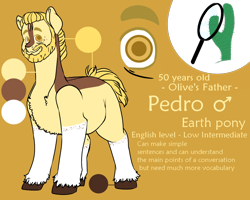 Size: 1000x800 | Tagged: safe, artist:saasart, imported from derpibooru, oc, oc only, oc:pedro, earth pony, pony, beard, blonde mane, brown coat, cactus, coat markings, colored hooves, cutie mark, earth pony oc, facial hair, father, freckles, magnifying glass, male, markings, multicolored coat, reference sheet, simple background, socks (coat markings), stallion, text, unshorn fetlocks, white coat, yellow background, yellow coat, yellow eyes