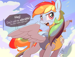 Size: 2500x1909 | Tagged: safe, artist:nookprint, imported from derpibooru, rainbow dash, pegasus, pony, blushing, clothes, cloud, cute, dashabetes, dialogue, female, flag, i'm not cute, mare, open mouth, solo, speech bubble, spread wings, stomping, talking, talking to viewer, tsunderainbow, tsundere, uniform, wings, wonderbolt trainee uniform