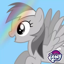 Size: 720x720 | Tagged: safe, imported from derpibooru, rainbow dash, pegasus, pony, rainbow roadtrip, monochrome, official, profile picture, solo