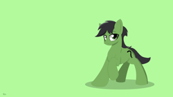 Size: 1920x1080 | Tagged: safe, artist:ricy, imported from derpibooru, oc, oc only, oc:anon stallion, earth pony, pony, earth pony oc, green background, green eyes, lineless, looking at you, male, raised eyebrow, raised hoof, simple background, solo, stallion, wallpaper
