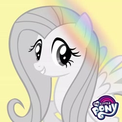Size: 720x720 | Tagged: safe, imported from derpibooru, fluttershy, pegasus, pony, rainbow roadtrip, female, mare, monochrome, official, profile picture, solo