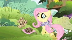 Size: 640x360 | Tagged: safe, imported from derpibooru, screencap, fluttershy, bird, pegasus, pony, squirrel, filli vanilli, season 4, ^^, animated, cute, eyes closed, female, fluttershy's cottage, flying, gif, gifs.com, mare, open mouth, open smile, shyabetes, smiling, solo, spread wings, wings