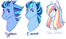 Size: 2000x1200 | Tagged: safe, artist:purplegrim40, imported from derpibooru, oc, oc only, oc:clear skies, oc:everest, oc:typhoon, pony, bio in description, bust, female, half-siblings, male, mare, offspring, parent:rainbow dash, parent:soarin', parent:thunderlane, parents:soarindash, parents:thunderdash, siblings, simple background, smiling, stallion, white background