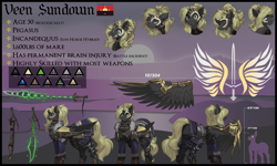 Size: 5000x3000 | Tagged: safe, artist:nsilverdraws, artist:veen, imported from derpibooru, oc, oc only, oc:aalst the blade of society, oc:astral moonsyde, oc:veen sundown, horse, pegasus, pony, unicorn, abstract, abstract background, armor, backstory, backstory in description, bio in description, blackletter, blonde, chest fluff, clothes, cute, cutie mark, dork, ear piercing, expressions, female, flag, fluffy, happy, helmet, high res, jewelry, laughing, leg fluff, magic, male, mare, mountain, mountain range, name, pegasus oc, piercing, ponytail, reference sheet, scimitar, simple background, size comparison, size difference, smug, solo, spread wings, stallion, standing, startled, sundown clan, sunset, surprised, sword, tail, tail piercing, text, tired, weapon, wing piercing, wings