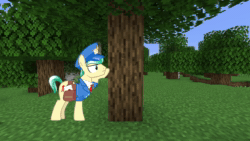 Size: 1920x1080 | Tagged: safe, editor:kanw, imported from derpibooru, proper postal, crystal pony, earth pony, pony, animated, male, meme, minecraft, shitposting, solo, sound, stallion, video, video game, wat, webm