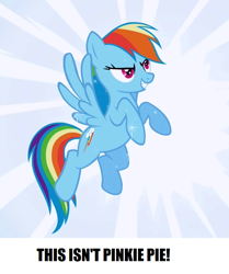 Size: 692x828 | Tagged: safe, imported from derpibooru, rainbow dash, pegasus, pony, captain obvious, implied pinkie pie, meme, op is right, yes