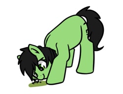 Size: 657x504 | Tagged: safe, artist:neuro, imported from derpibooru, oc, oc only, oc:filly anon, pony, :t, cute, female, filly, grass, grazing, herbivore, horses doing horse things, looking at something, ocbetes, ponified animal photo, simple background, solo, white background