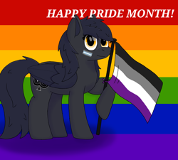 Size: 5000x4500 | Tagged: safe, artist:suidian, imported from derpibooru, oc, pegasus, asexual, asexual pride flag, demiboy flag, flag, pride, pride flag, pride month, rainbow