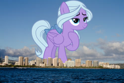 Size: 2048x1365 | Tagged: safe, artist:chrzanek97, artist:thegiantponyfan, imported from derpibooru, fond feather, pegasus, pony, bow, female, giant pegasus, giant pony, giantess, hair bow, hawaii, highrise ponies, honolulu, irl, macro, mare, mega giant, photo, ponies in real life, tail, tail bow