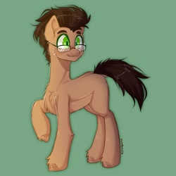 Size: 2048x2048 | Tagged: safe, artist:yumkandie, imported from derpibooru, oc, oc only, earth pony, pony, chest fluff, earth pony oc, glasses, male, simple background, solo, unshorn fetlocks