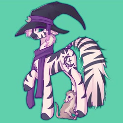 Size: 2048x2048 | Tagged: safe, artist:yumkandie, imported from derpibooru, oc, oc only, opossum, zebra, clothes, crescent moon, hat, moon, scarf, simple background, solo, witch hat, zebra oc