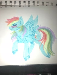 Size: 1536x2048 | Tagged: safe, artist:yumkandie, imported from derpibooru, rainbow dash, pegasus, pony, blushing, chest fluff, female, photo, solo, traditional art