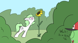 Size: 1940x1080 | Tagged: safe, artist:happy harvey, imported from derpibooru, oc, oc only, oc:anon, oc:filly anon, earth pony, human, pony, adult, alternate design, bush, dialogue, ears back, female, filly, flower, hat, male, phone drawing, pokémon, shiny, sniffing, sparkles, sunflower