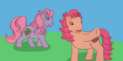 Size: 1498x744 | Tagged: safe, artist:katianagirlfan53, edit, imported from derpibooru, clover (g1), patch (g1), earth pony, my little pony tales, cloverbetes, cute, duo, female, field, g1, grass, grass field, kevin michael richardson, mare, outdoors, patch guy, patchabetes, shadow, voice actor joke