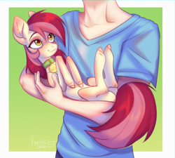 Size: 3330x3000 | Tagged: safe, artist:satan, imported from derpibooru, roseluck, earth pony, human, pony, behaving like a cat, collar, commission, commissioner:doom9454, cradling, cute, holding a pony, pet tag, pony pet, rosepet