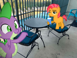 Size: 1032x774 | Tagged: safe, edit, editor:undeadponysoldier, imported from ponybooru, photographer:undeadponysoldier, babs seed, spike, dragon, earth pony, pony, balcony, bendy straw, chair, cute, drinking, drinking straw, edited photo, female, filly, foal, happy, soda, spikabetes, straw, swimming pool, table, vacation, winged spike