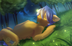 Size: 2277x1476 | Tagged: safe, artist:kawipie, imported from derpibooru, oc, oc only, oc:crushingvictory, firefly (insect), insect, pegasus, pony, commission, eyes closed, folded, grass, grass field, night, pegasus oc, sleeping, solo, tree, ych result