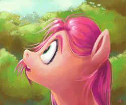 Size: 3450x2850 | Tagged: safe, artist:docwario, imported from derpibooru, sunny starscout, earth pony, pony, amazed, astonished, bust, female, g5, high res, looking at something, looking up, mare, open mouth, outdoors, profile, solo, wide eyes