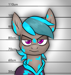Size: 833x885 | Tagged: safe, artist:moonatik, imported from derpibooru, oc, oc only, oc:street cred, earth pony, angry, bags under eyes, bust, clothes, hoodie, mugshot, paint, solo