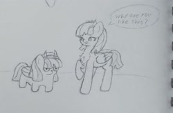 Size: 2961x1948 | Tagged: safe, artist:sodapop sprays, imported from derpibooru, oc, oc:cannoli, oc:éclair, pegasus, pony, concerned, female, folded wings, mane, mare, missing cutie mark, sextuplet, siblings, sisters, tail, traditional art, wings